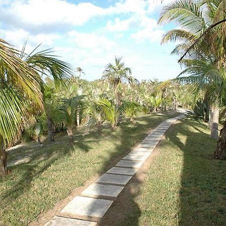 Rocks Retreat By Eleuthera Vacation Rentals North Palmetto Point Exteriér fotografie